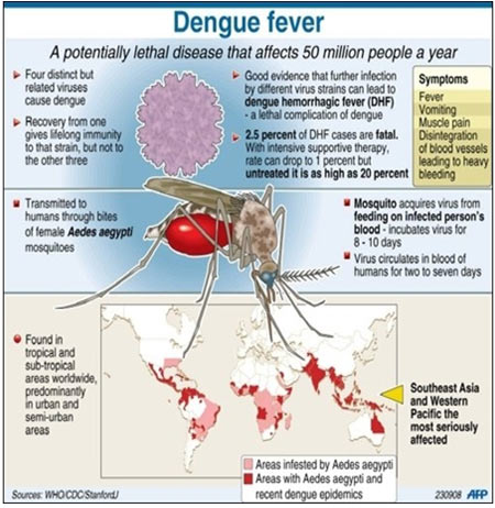 name two diseases spread by mosquitoes