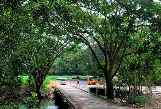 Diggers Bridge to RE-OPEN