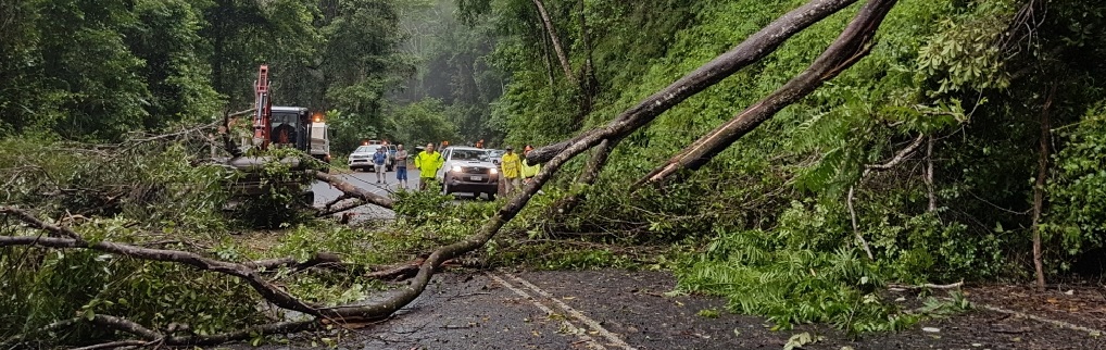 Disaster assistance extended to Douglas Shire after TC Trevor