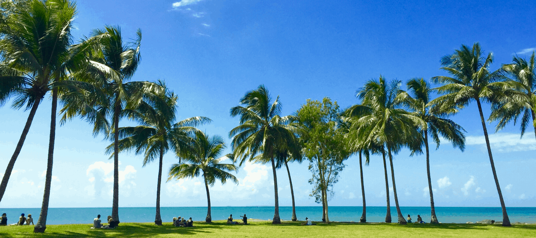 Rex Smeal Park Port Douglas