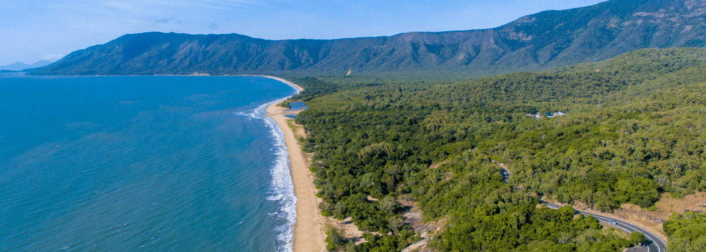 Urgent Tree work – Port Douglas Road – 3 February 2026