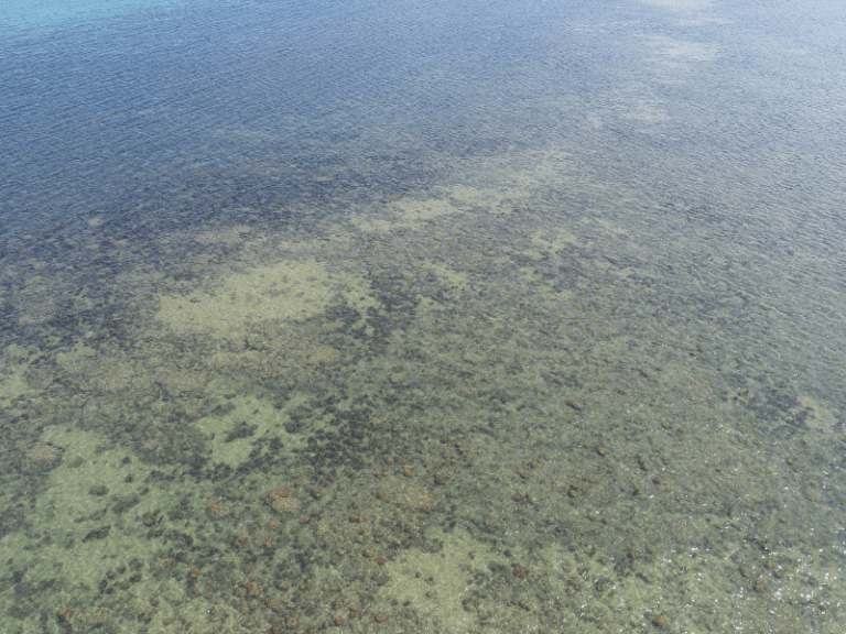 Wonga Beach Caravan Park Douglas Shire Council