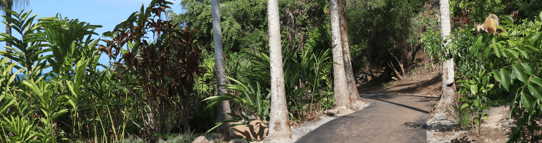 Works Notice: Flagstaff Walking Track