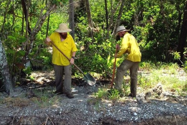 Myall Beach Planting