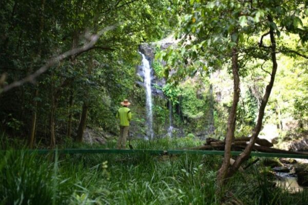 Daintree Intake - Waterfall