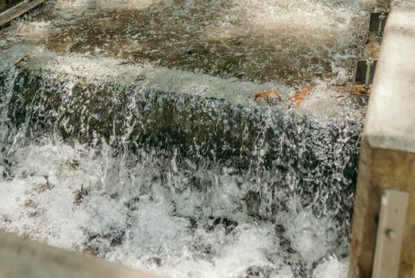 Water Intakes