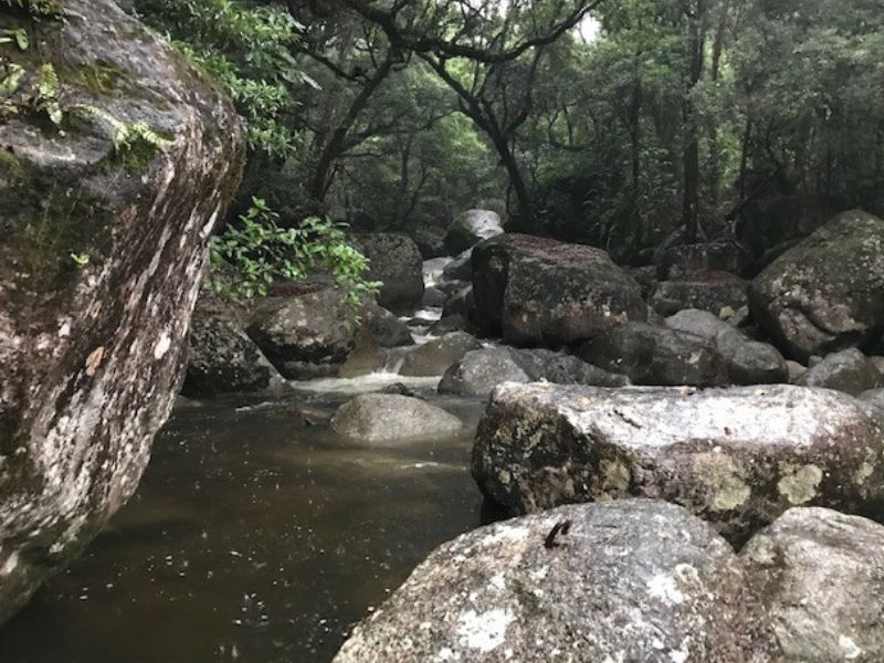 Douglas Shire residents warned heavy rainfall could trigger more water restrictions