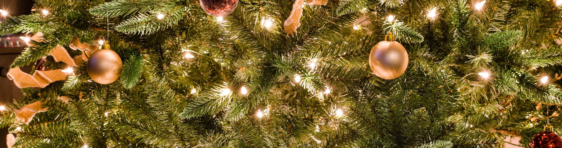 Mayor’s Christmas Appeal to Bring Joy to Local Families