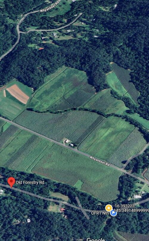 Old Forestry Road