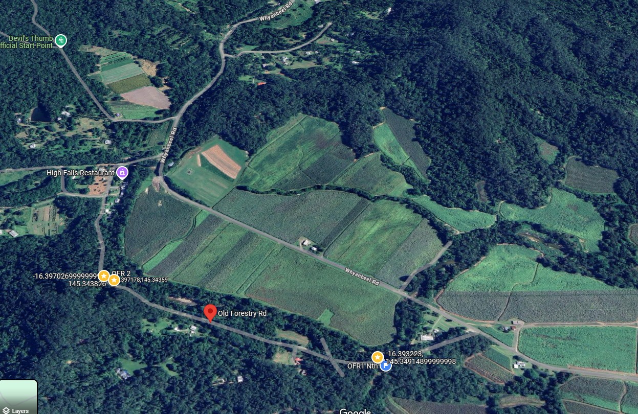 Old Forestry Road