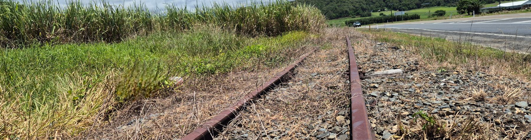 News Bites – Ordinary Council Meeting