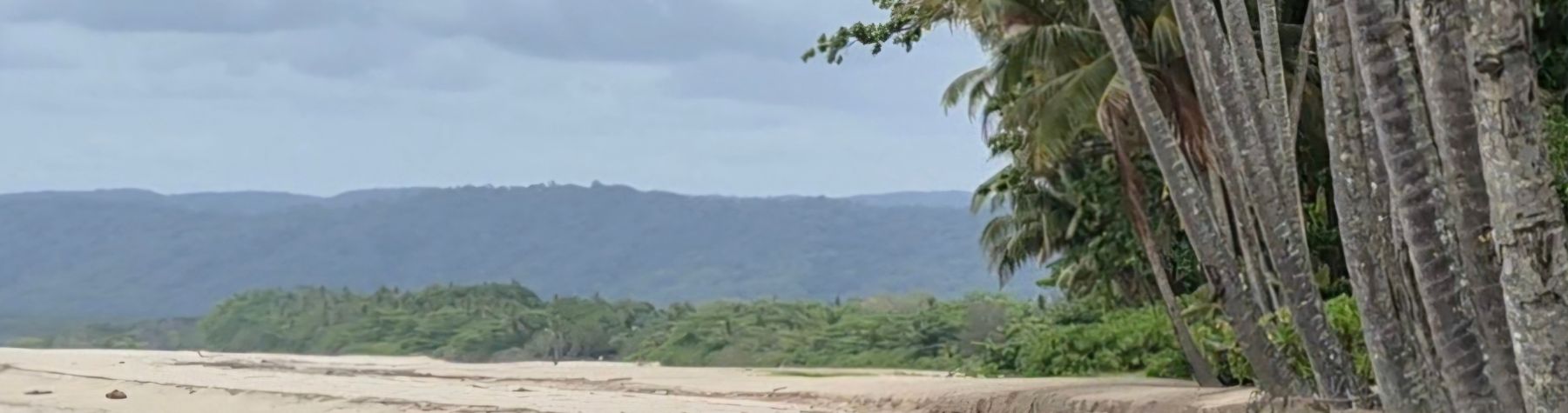 Removing Unsafe Beach Furniture to Protect Coastline and Community