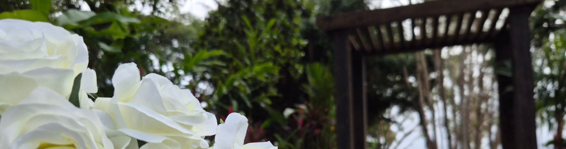Some Little Cove love – wedding hotspot upgraded