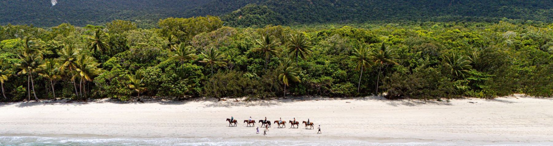 Port Douglas and Cape Tribulation Named Finalists in 2026 Queensland Top Tourism Town Awards