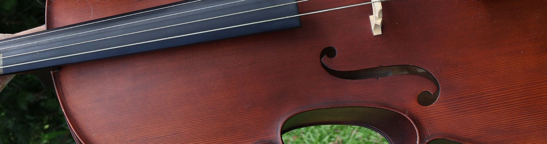 Cellists donate time to Daintree Community Concert
