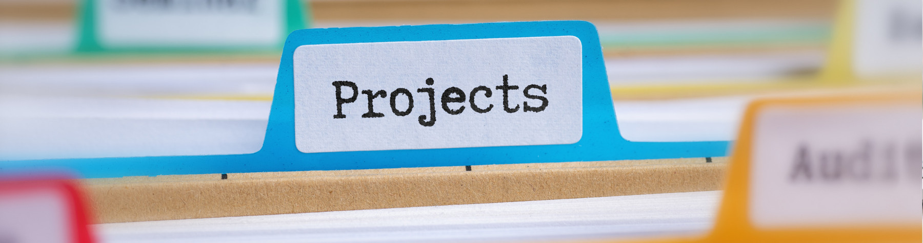 Strategic Projects Lead